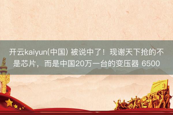 开云kaiyun(中国) 被说中了！现谢天下抢的不是芯片，而是中国20万一台的变压器 6500
