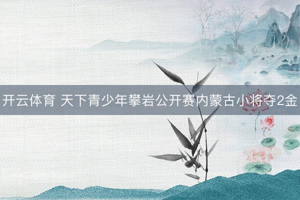 开云体育 天下青少年攀岩公开赛内蒙古小将夺2金