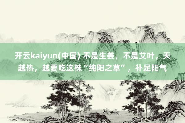 开云kaiyun(中国) 不是生姜,不是艾叶,天越热,越要吃这株“纯阳之草”,补足阳气